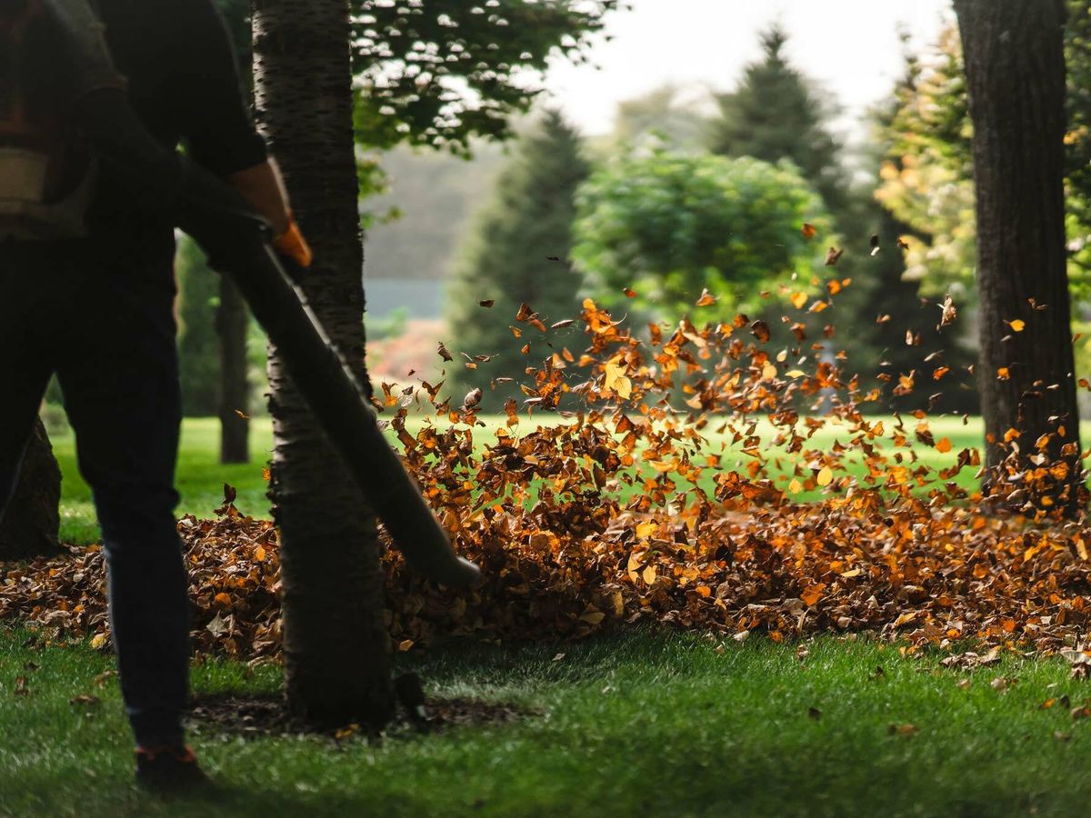 Los mejores sopladores de hojas para dejar tu jardín limpio en minutos