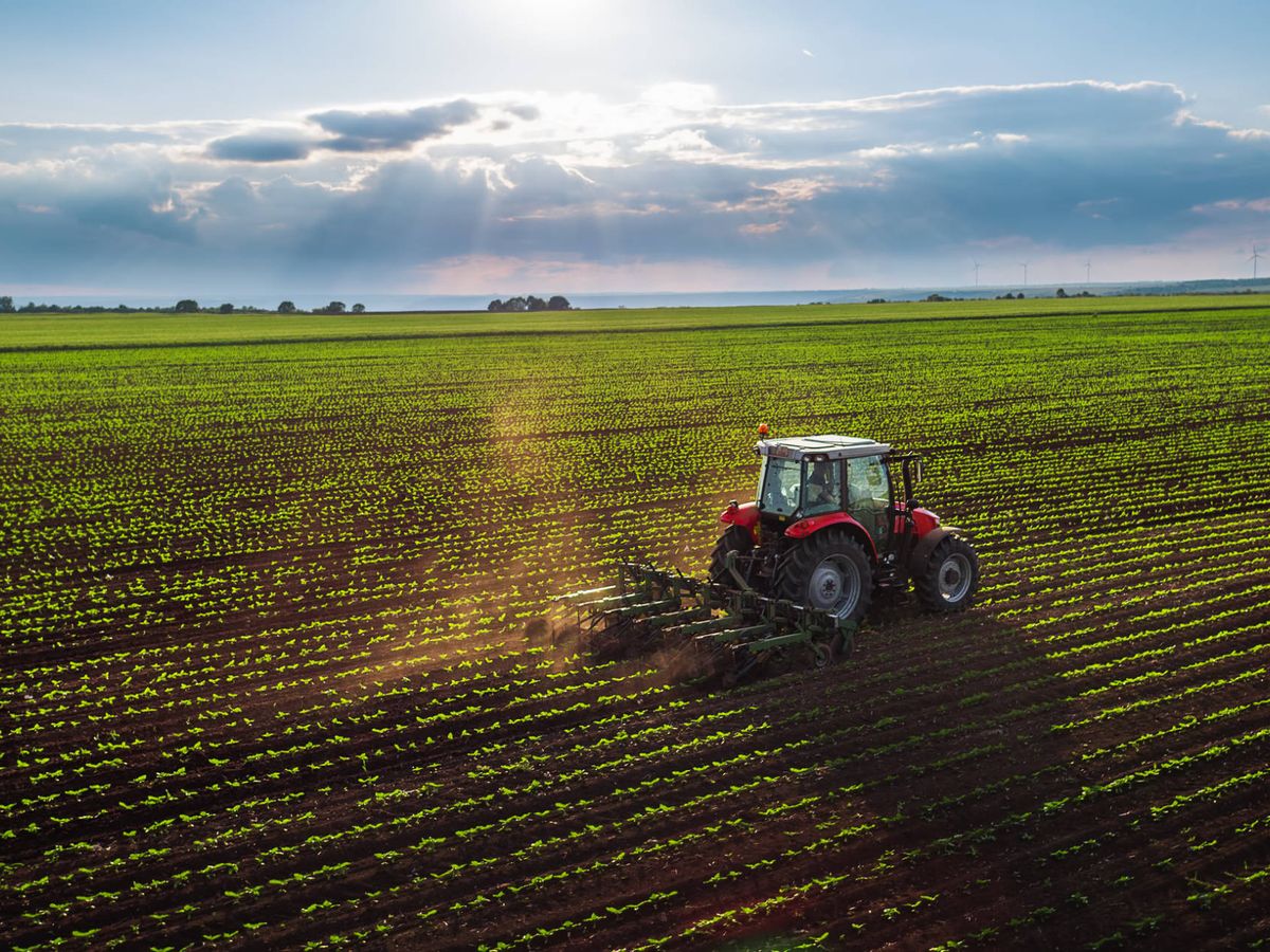 La gran revolución del campo: así serán las granjas y cultivos