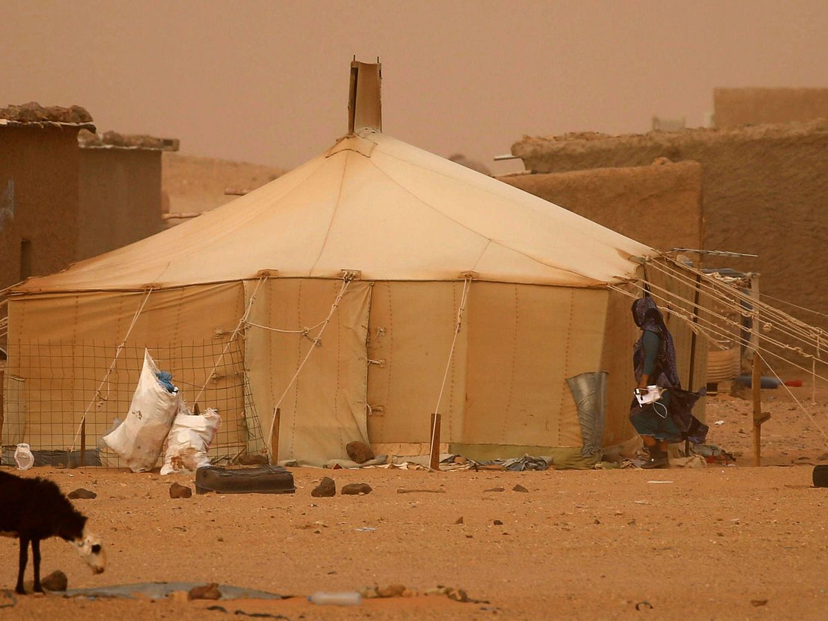 Foto: Campamentos de refugiados saharauis en Tinduf, Argelia. (Reuters)