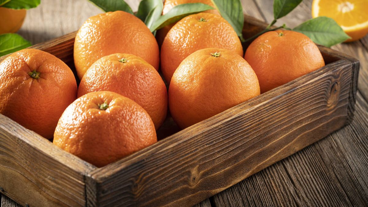 El truco para que las naranjas y limones aguanten más tiempo con todo su sabor