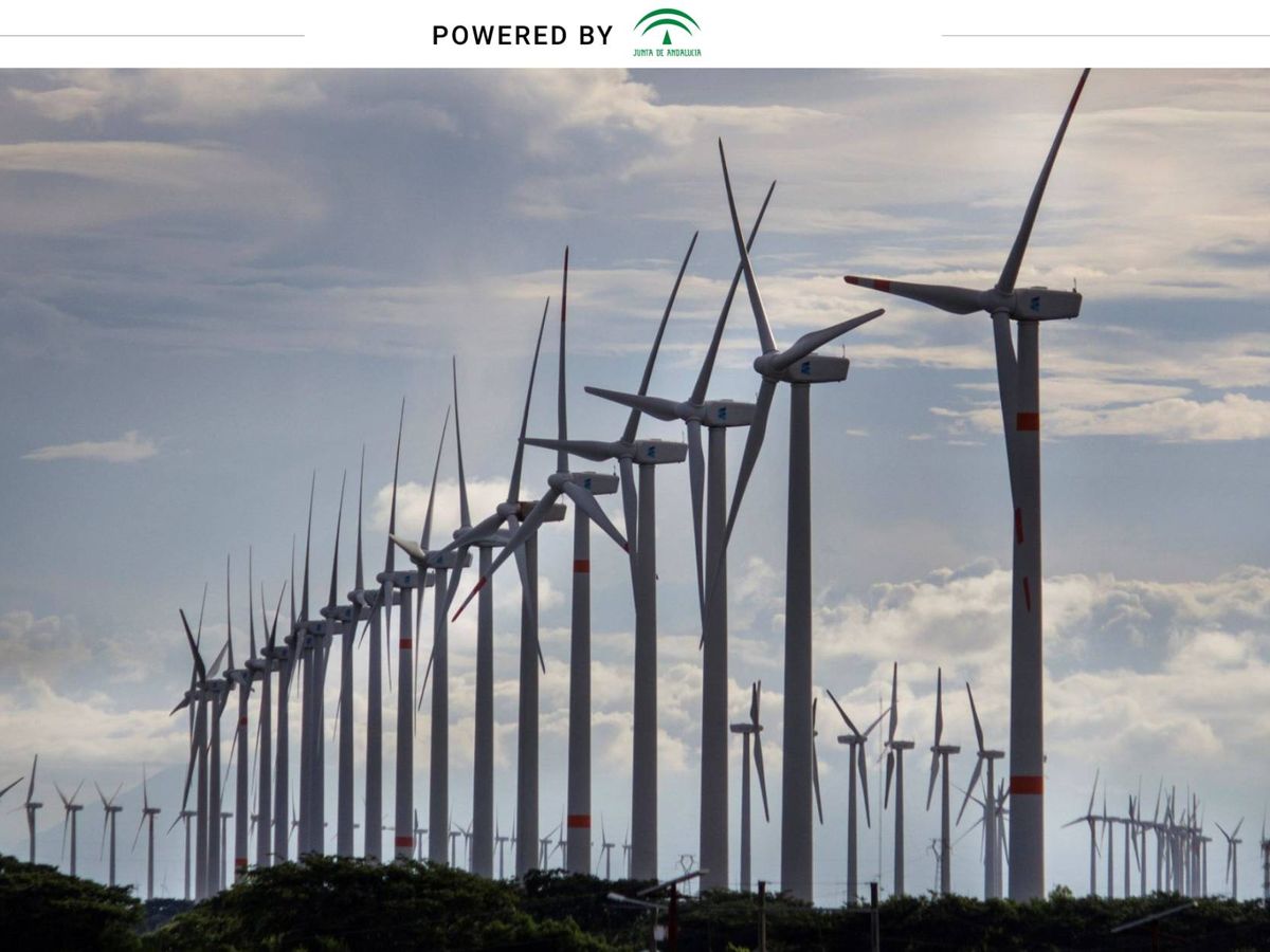 Foto: La Junta pretende apoyar proyectos que inviertan hasta 17.000 millones en renovables en la región. (EFE)