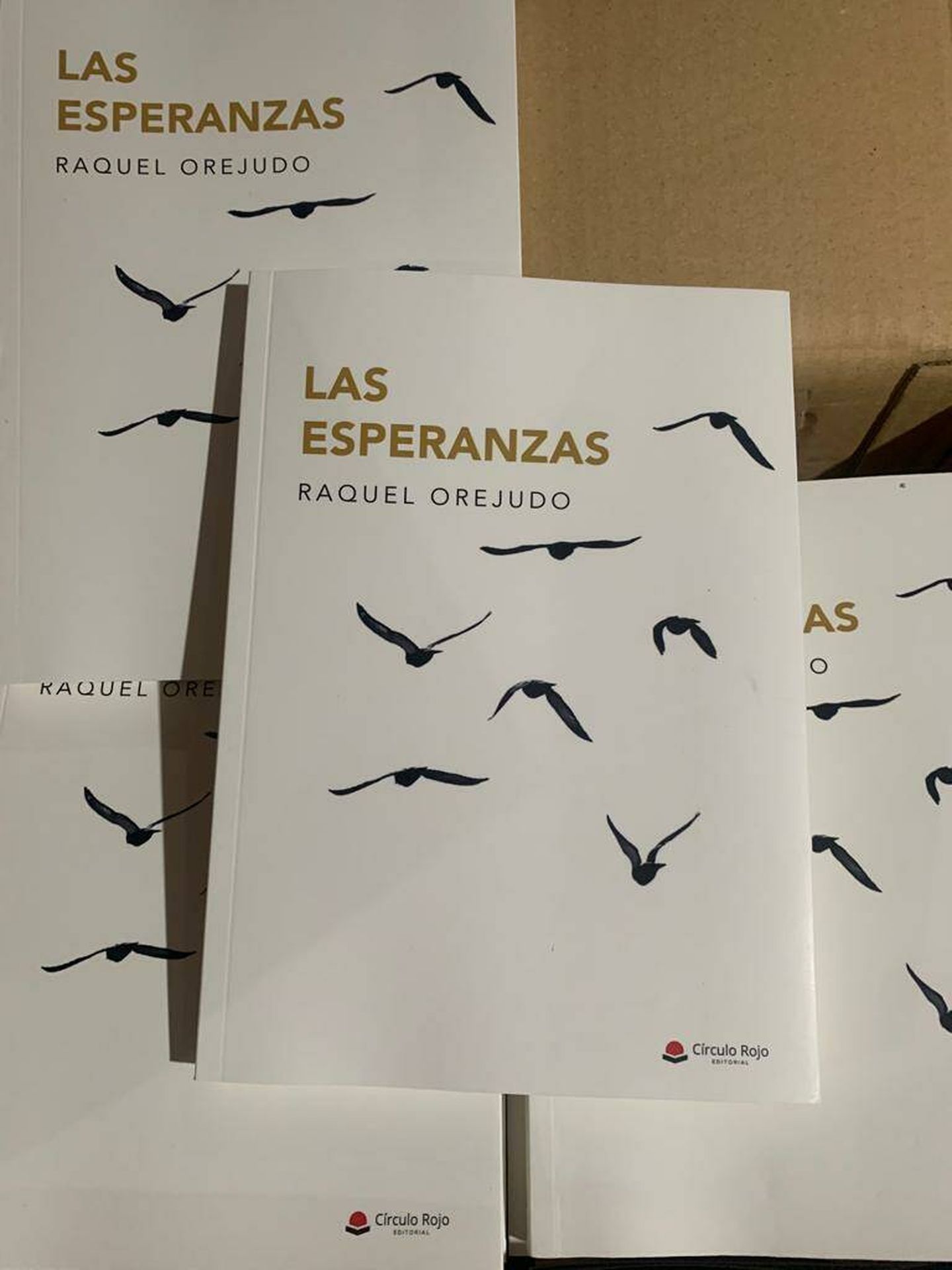  Imagen de la portada de 'Las Esperanzas'. 