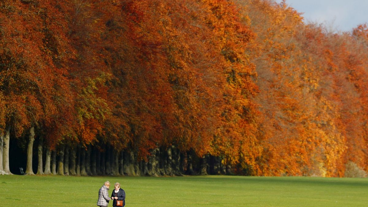 Un diván en el parque: salud mental y zonas verdes en Europa