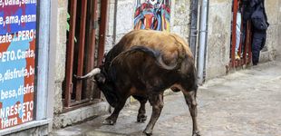 Post de Un hombre, herido grave por asta de toro tras recibir tres cornadas en Coria (Cáceres)
