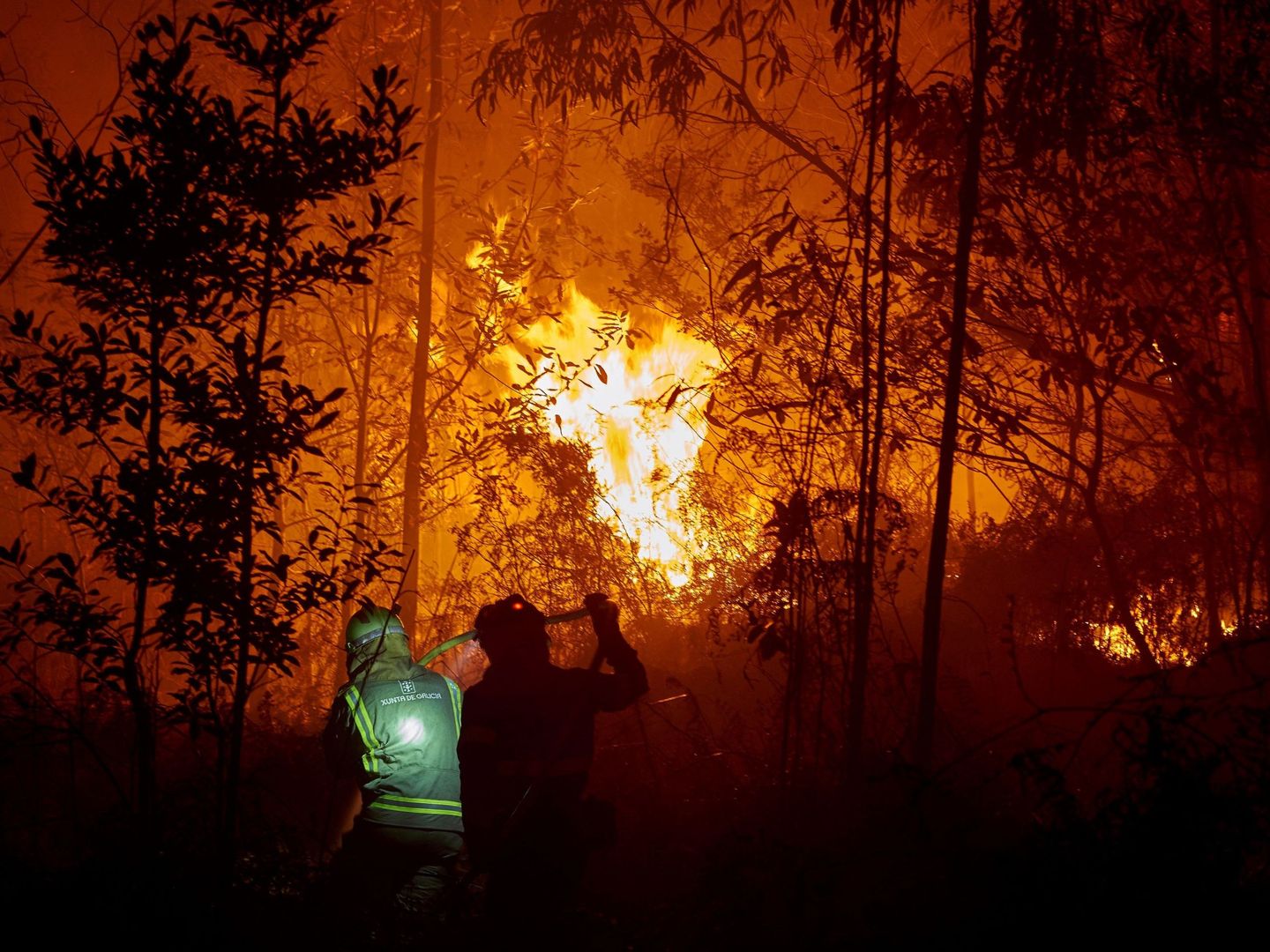 Personal de las brigadas contra el fuego trabajan en la costa de Lugo para evitar un fuego que afecta a varias hectáreas de bosque, sobre todo eucalipto (EFE)