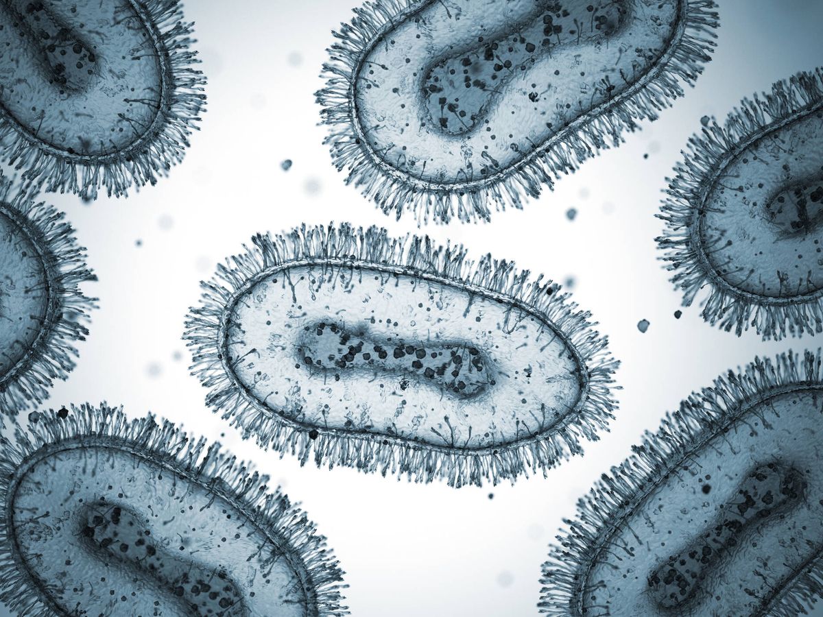 Foto: Células del virus de la viruela del mono (iStock)