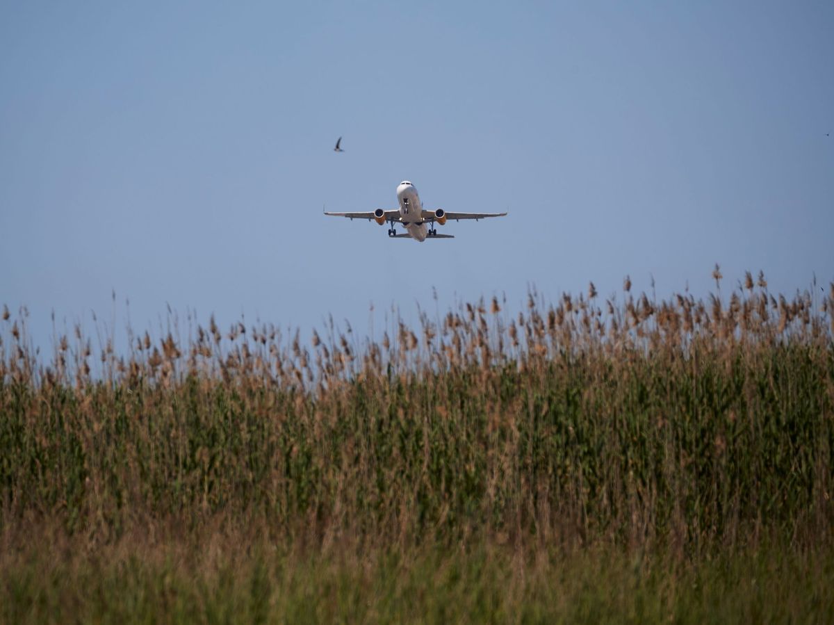 Foto: Un avión despegando sobre el Delta del Llobregat. EFE
