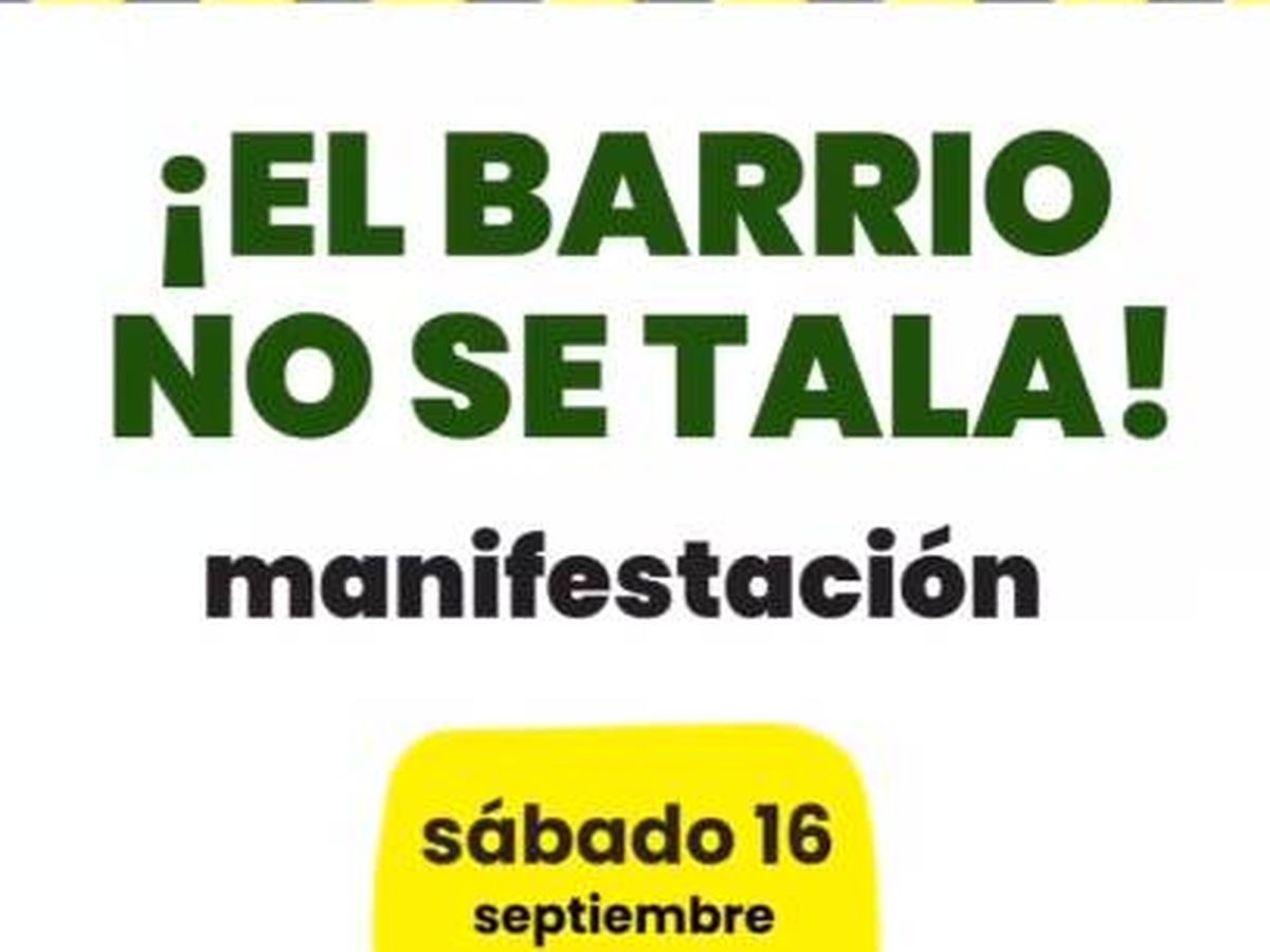 Foto: "No a la tala" en Madrid: horario, recorrido y zonas afectadas. (Instagram)