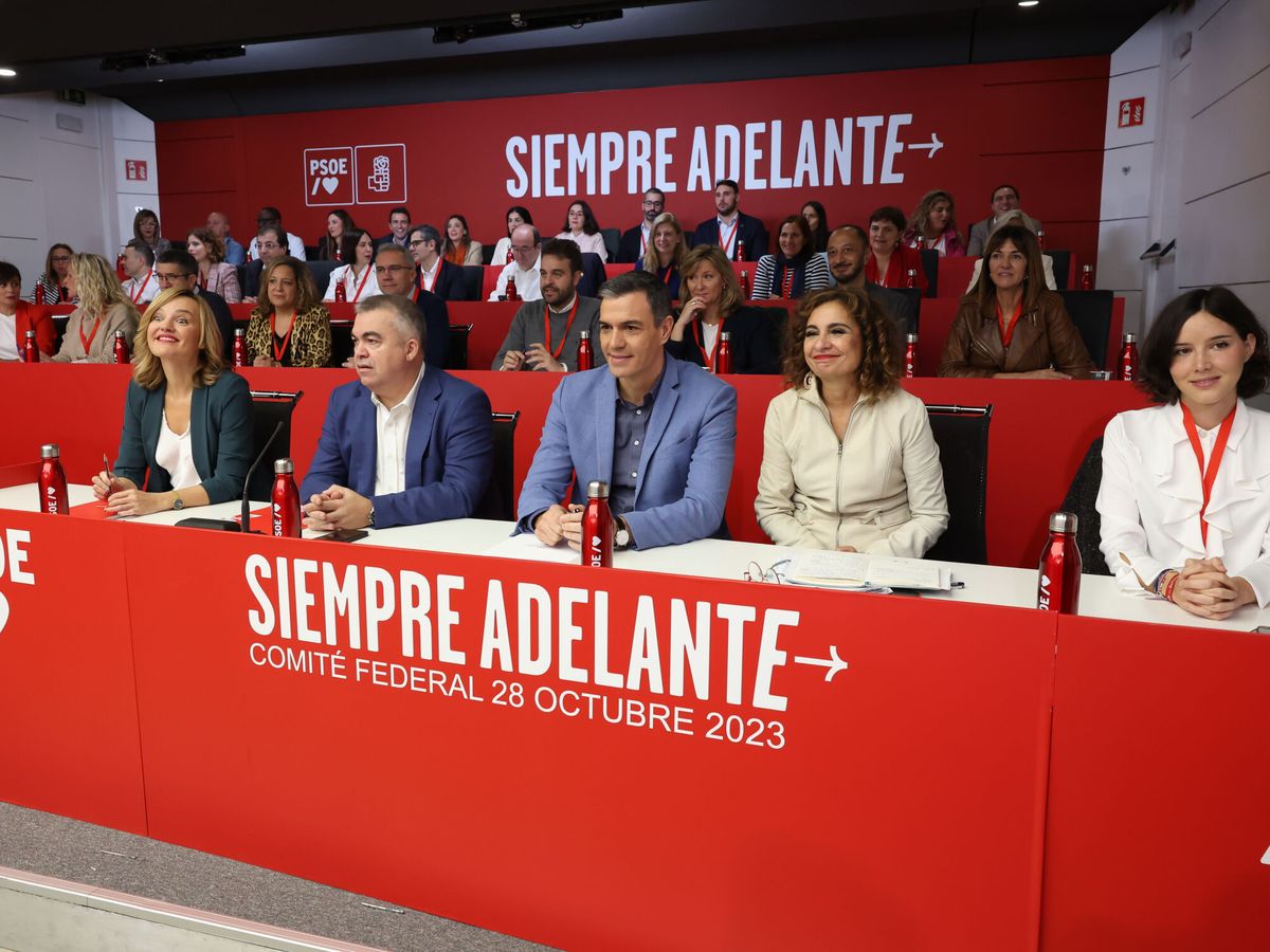Foto: Comité Federal del PSOE. (EFE/Kiko Huesca)