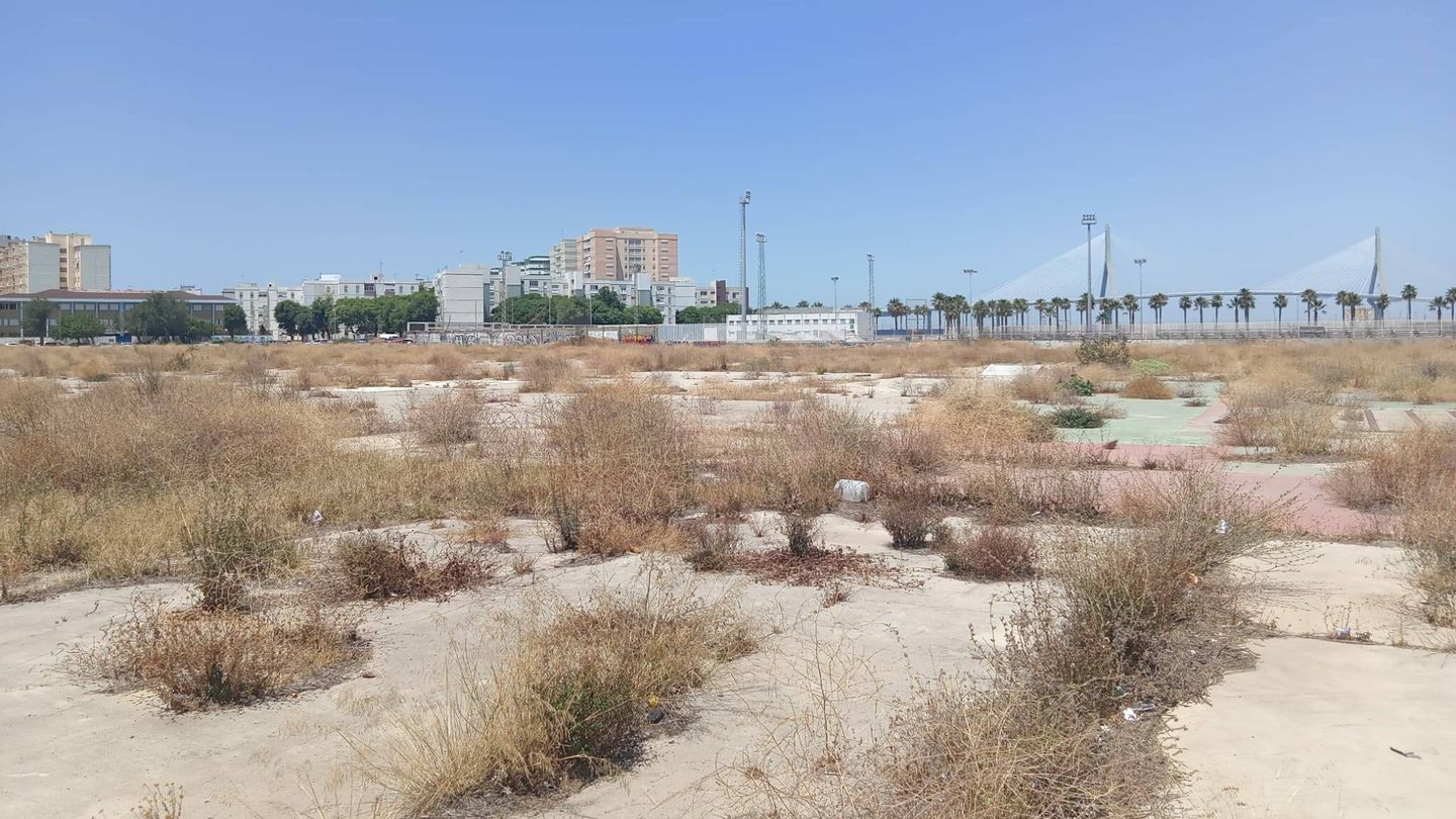 Descampado en el que debe construirse el nuevo Hospital Regional de Cádiz. (F. M. G.)