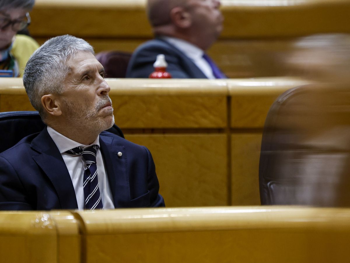 Foto: El ministro del Interior, Fernando Grande-Marlaska, en el Pleno del Senado. (EFE/Sergio Pérez)