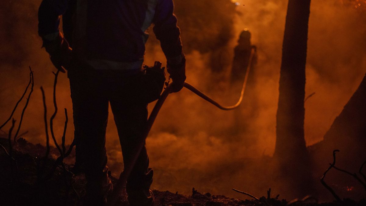 Los incendios dan una tregua en España: mejoran en Tenerife, Zamora y Galicia