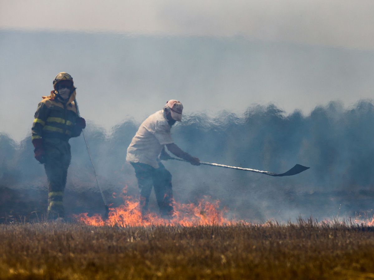 Foto: Un vecino y un bombero forestal trabajan en la extinción del incendio de Zamora. (Reuters/Isabel Infantes)
