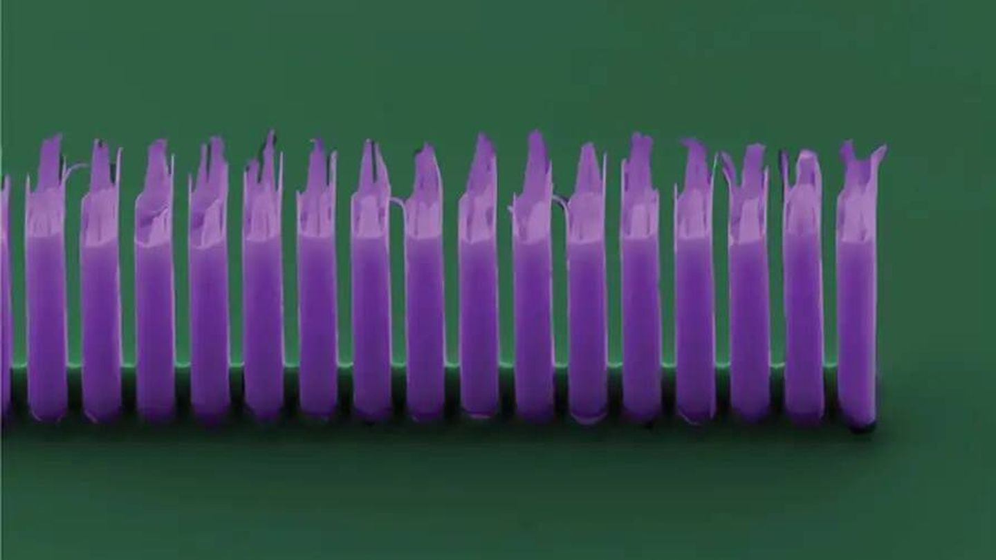 La estructura de pilares de silicona del nuevo acelerador de partículas nanofotónicas. (FAU)