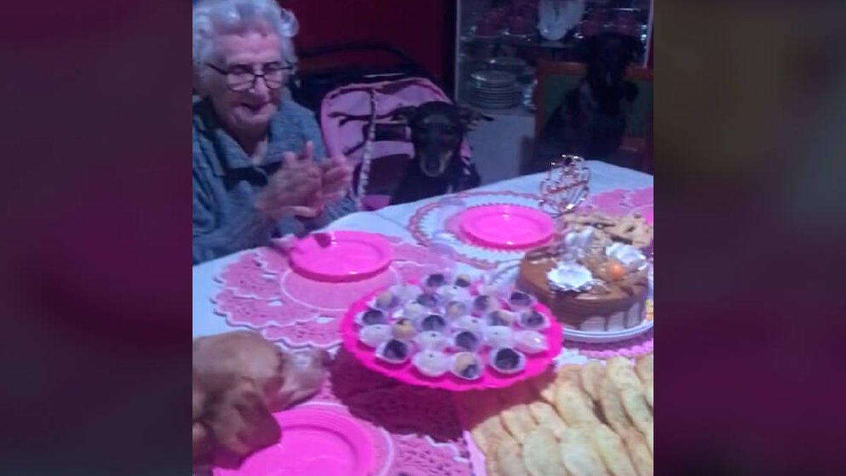 La entrañable celebración de los 89 años de una abuela con sus diez perros