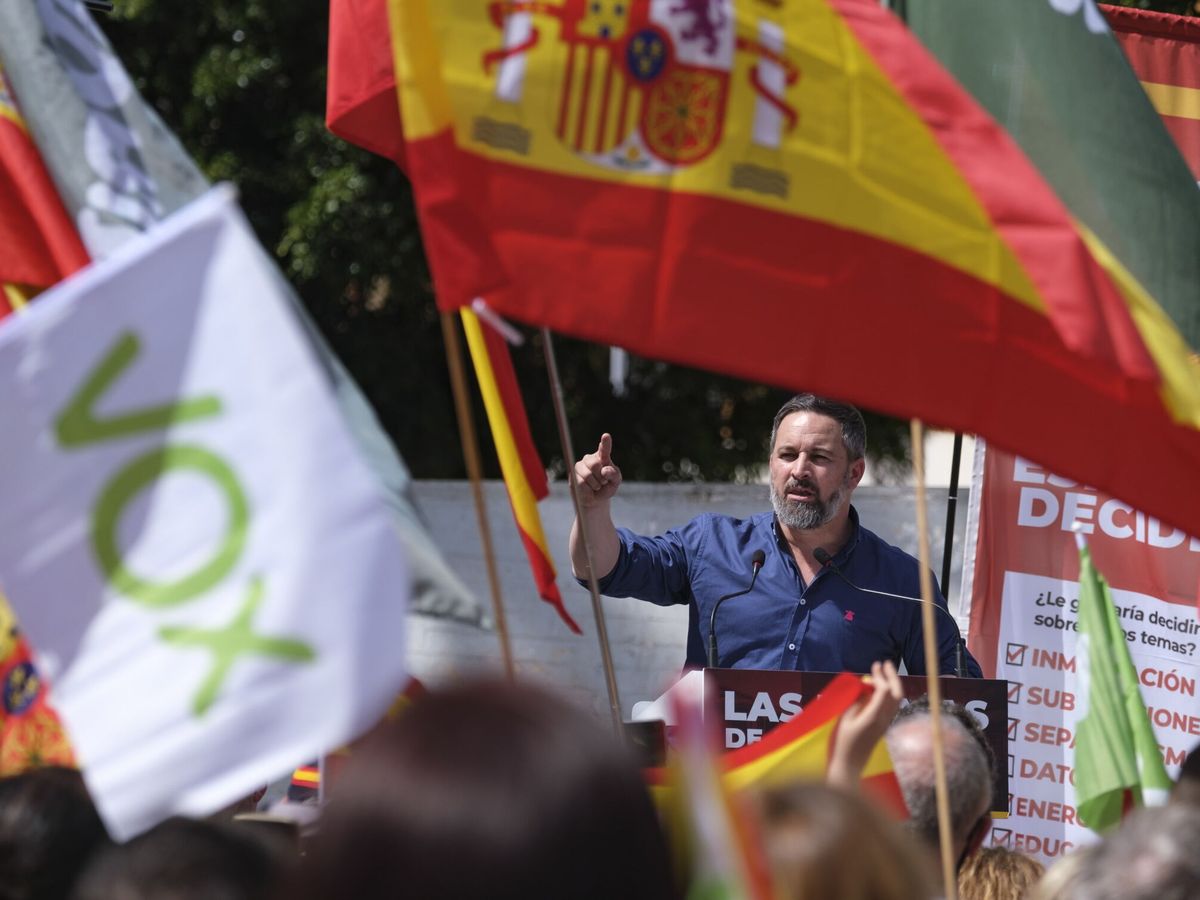 Foto: El líder de Vox, Santiago Abascal. (EFE/Ángel Medina)
