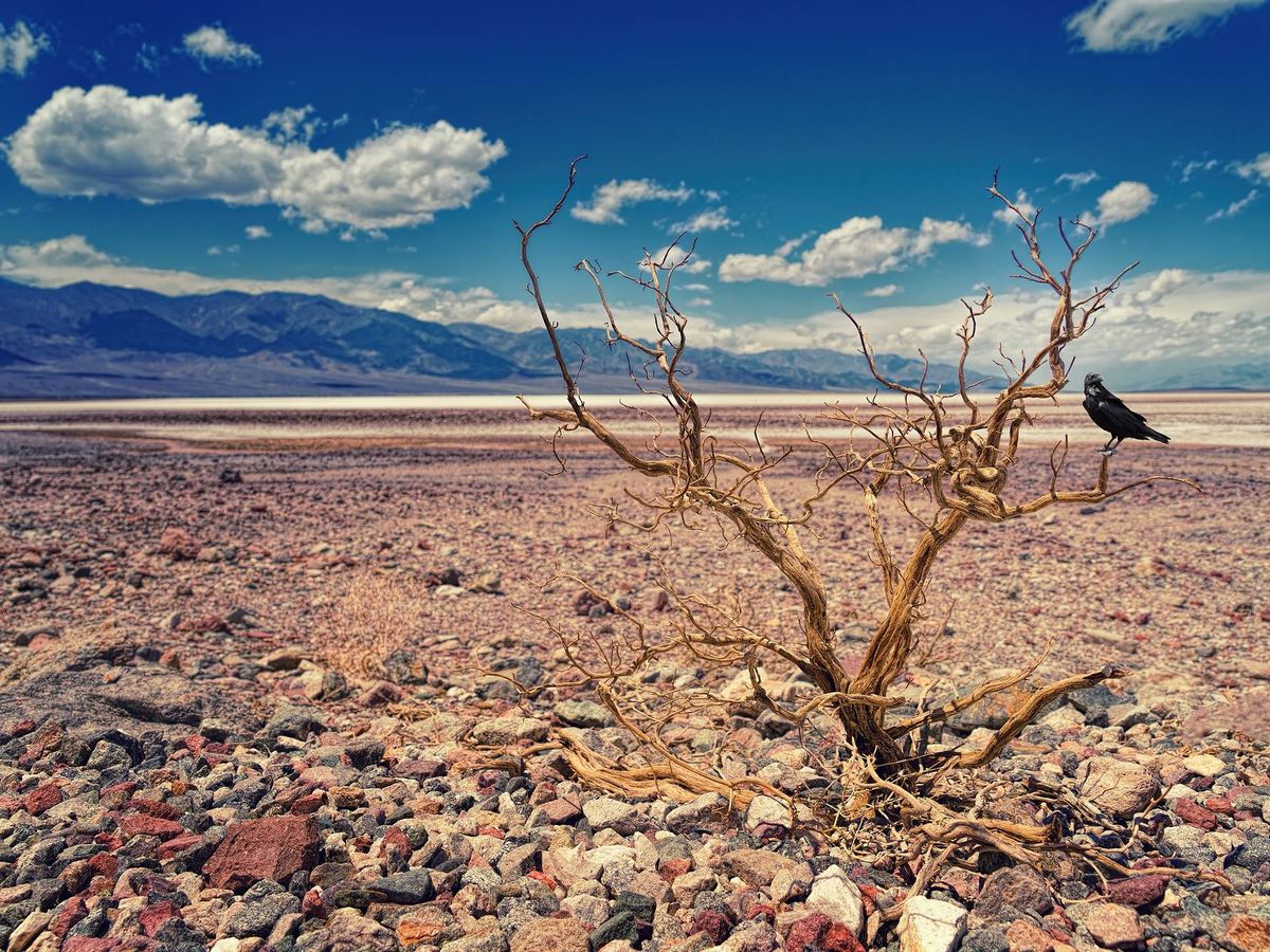 Foto: Una imagen del Valle de la Muerte (California, Estados Unidos). Foto: Pixabay.