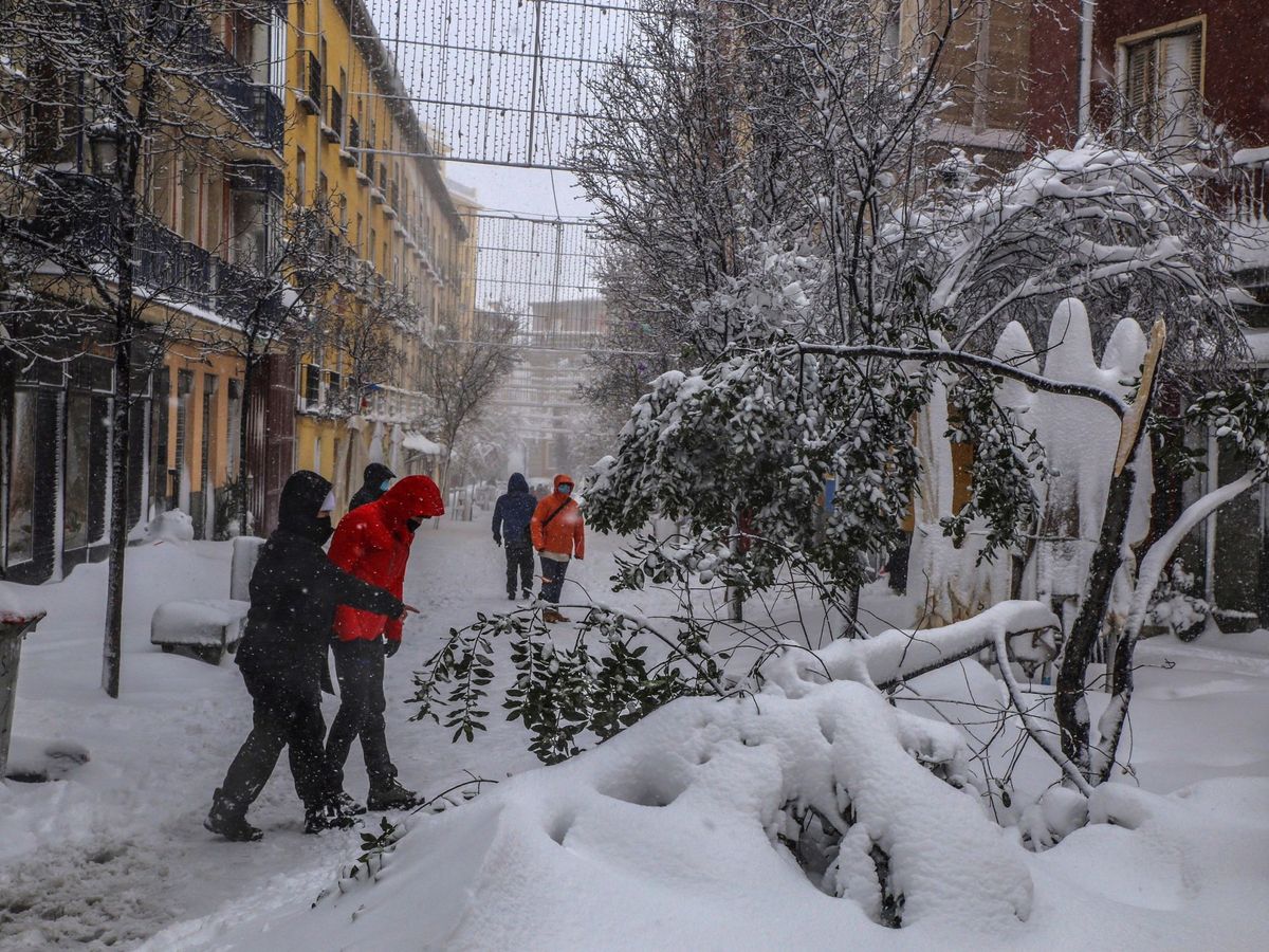 Foto: Varias ramas de árboles partidas por el peso de la nieve, en la calle Santiago, en Madrid. (EFE)