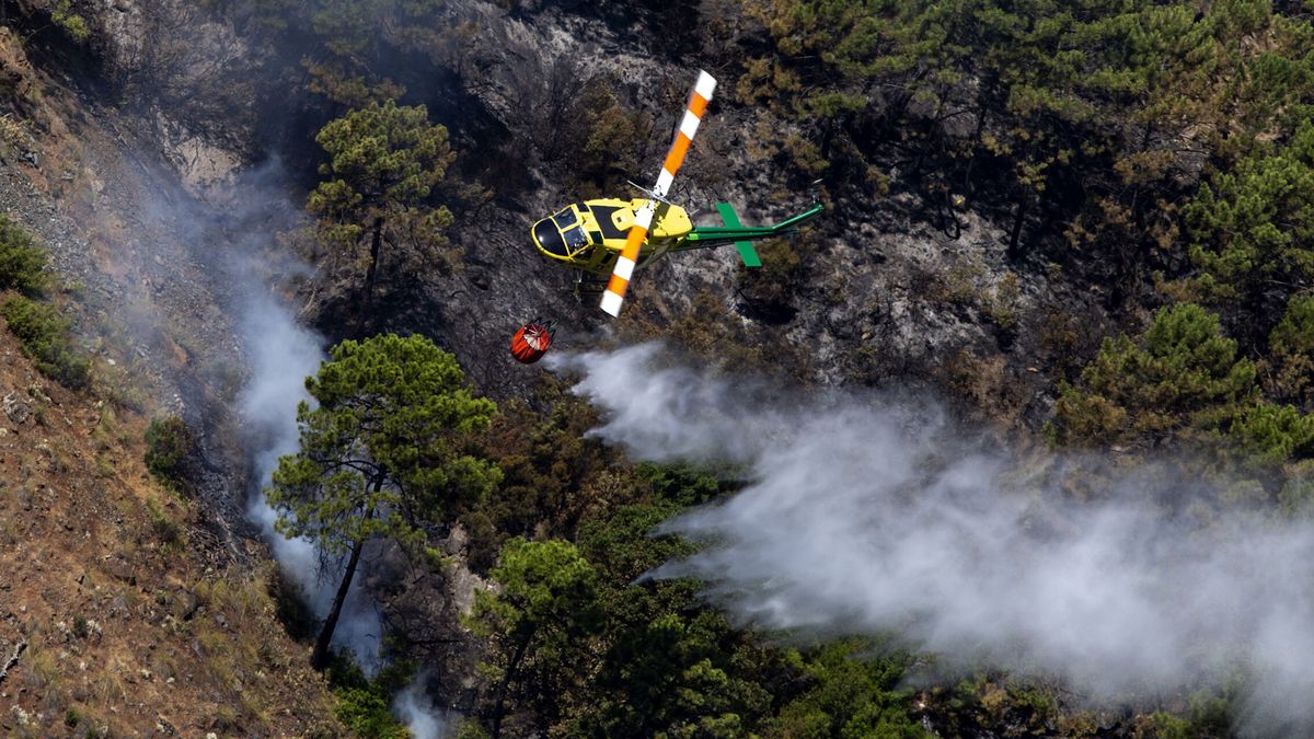 Los bomberos forestales andaluces critican que la Junta externalice un servicio por 6,8 millones