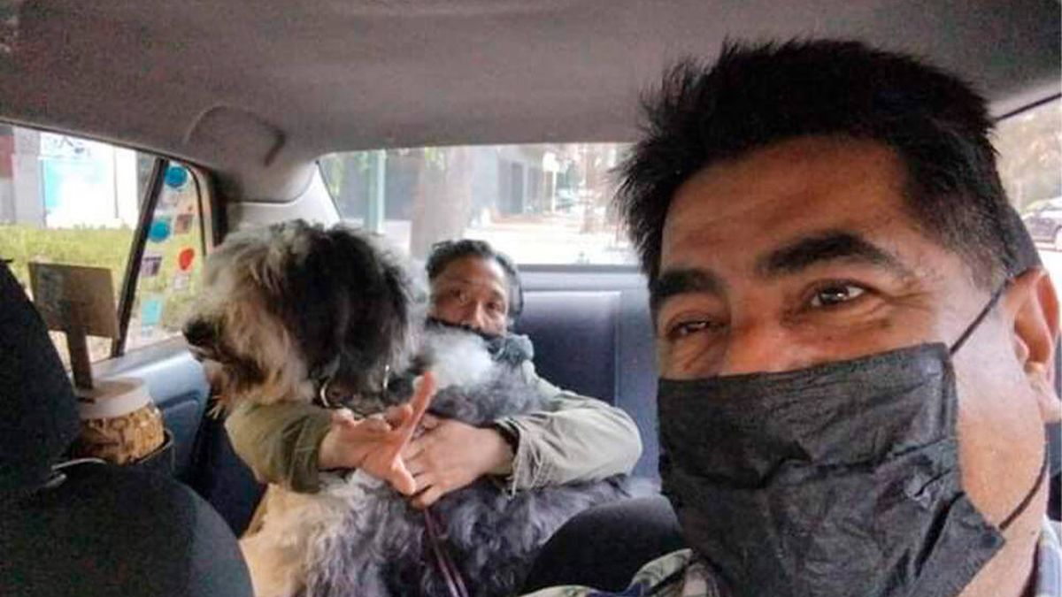 Un taxista mexicano se hace viral por su servicio exclusivo para mascotas