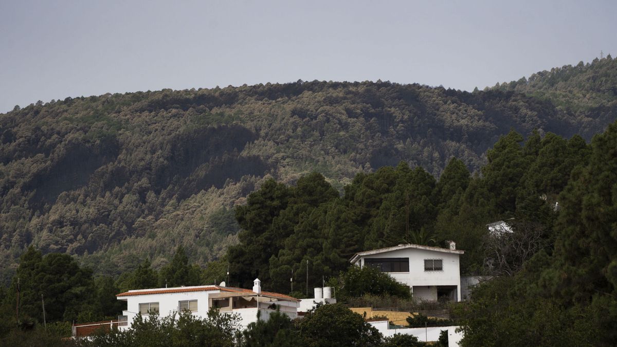 Educación crea una comisión para diseñar la vuelta a las aulas tras el incendio de Tenerife