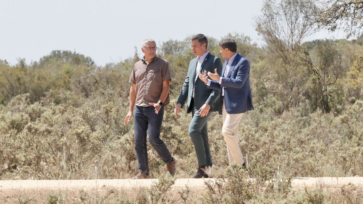 El presidente del Gobierno, Pedro Sánchez, en el Parque Nacional de Doñana. (EFE/J. M. Vidal)