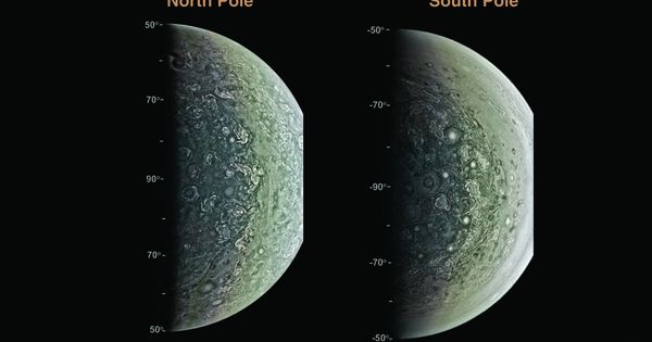 Foto: Proyección ortográfica de imágenes captadas por la cámara JunoCam en las regiones polares norte y sur de Júpiter. (Science)