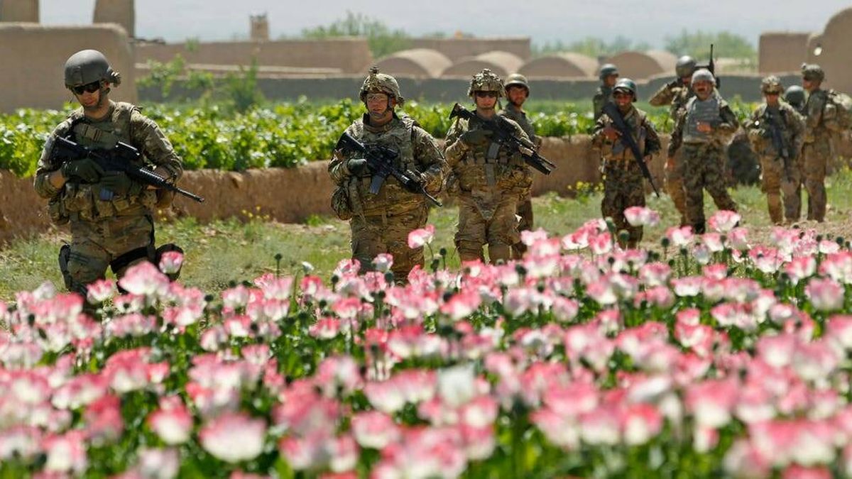La guerra de las amapolas: el fracaso de EEUU en Afganistán que