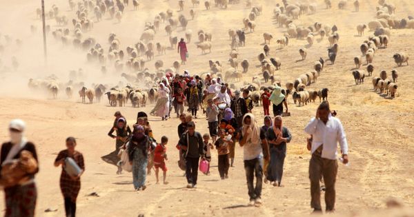 Foto: Yazidíes abandonan Sinjar, entonces en manos del Estado Islámico. (Reuters)