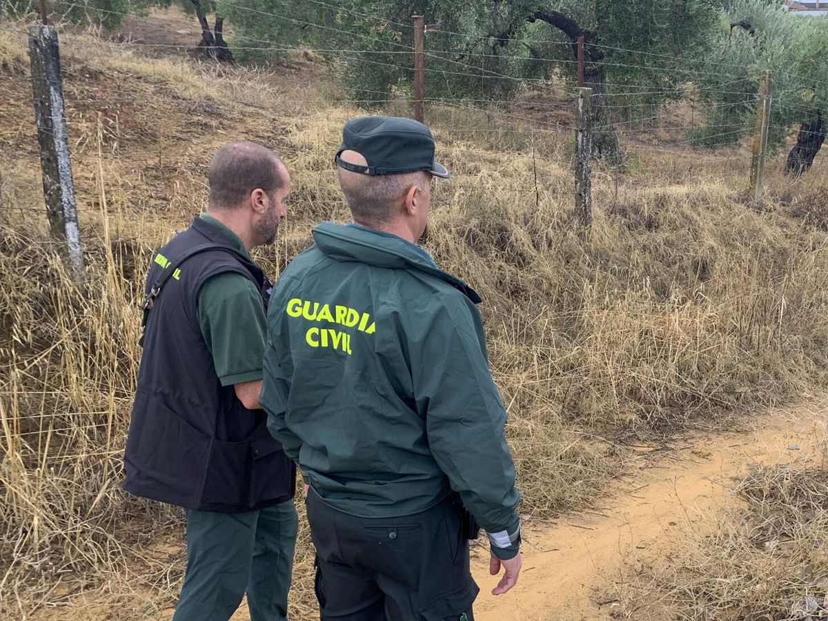 Foto: Dos agentes de la Guardia Civil en Sevilla. (EFE/ Fermín Cabanillas)