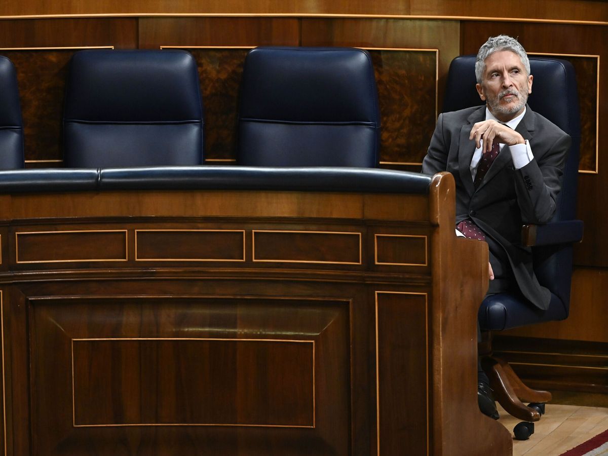 Foto: El ministro del Interior, Fernando Grande-Marlaska. (EFE/Fernando Villar)