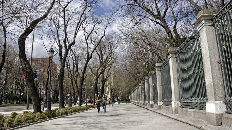 El Paseo del Prado, Madrid. (iStock)