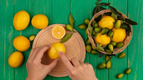 Noticia de Cómo sembrar un limonero, una tomatera o un mango desde cero en una maceta o huerto: el plan para hacer con tus hijos esta Semana Santa 