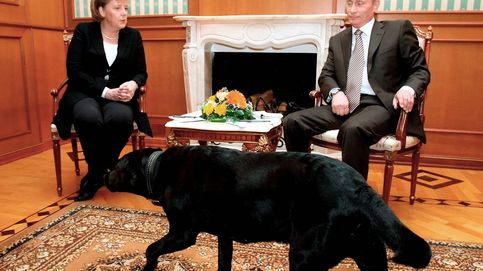 Operación perro negro: Alemania, Putin y el corte de gas que todos temen