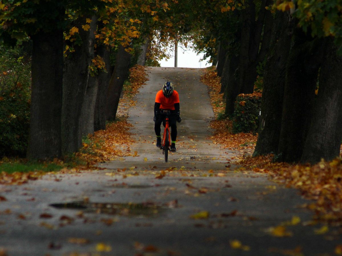 Foto: Los imprescindibles cuando salgas a montar en bicicleta (Laszlo Andras para Unsplash)