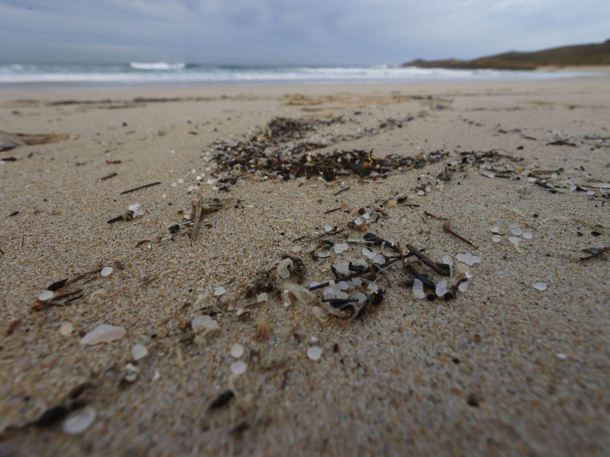 Foto: Pellets en la playa de Doniños (Ferrol). (EFE/Kiko Delgado)