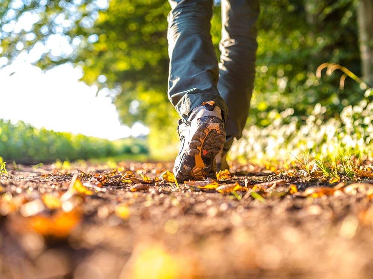 Foto: ¿Quieres adelgazar caminando? Así debes hacerlo según la Universidad de Harvard (iStock)