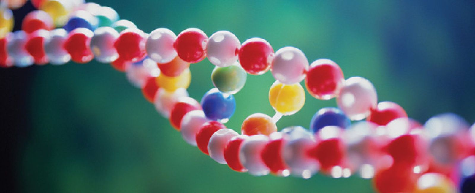 Foto: El genoma humano, objeto del deseo para las multinacionales