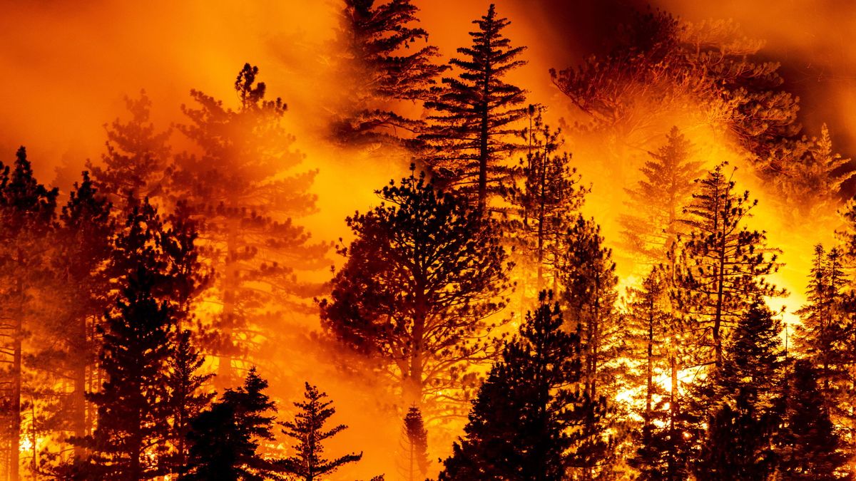 Los incendios de EEUU dejan 29 muertos y miles de personas evacuadas