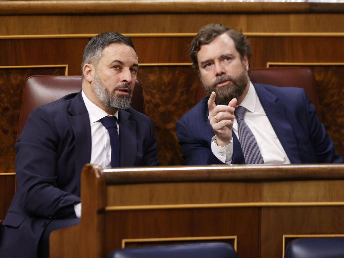 Foto: El líder de Vox, Santiago Abascal, y el portavoz de la formación en el Congreso, Iván Espinosa de los Monteros. (EFE/Javier Lizón)