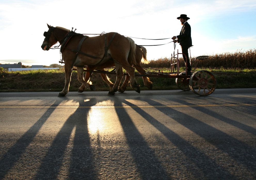 Foto: Un 'amish' de Pensilvania con su carreta. (Reuters)