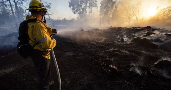 Foto: Un bombero, luchando contra el fuego en California. Foto: EFE EPA ETIENNE LAURENT