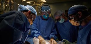 Post de Fallece el paciente que recibió el primer trasplante de riñón de cerdo en Nueva York