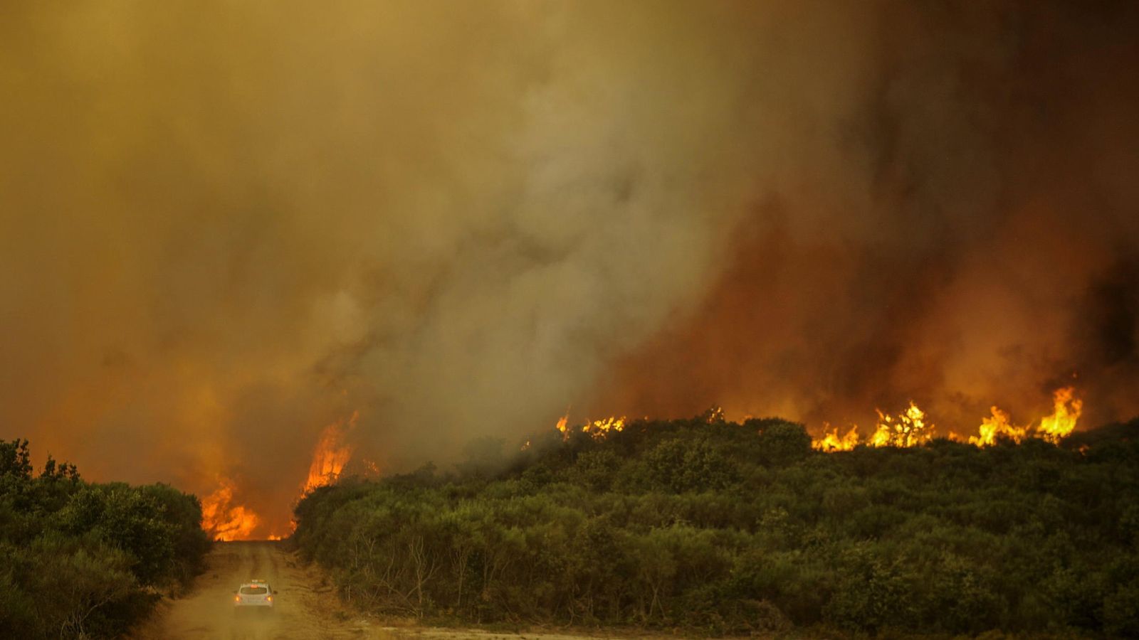 Foto: Imagen de archivo del incendio en Cualedro (Ourense) en agosto de 2015. (EFE)