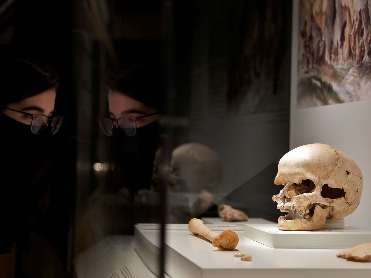 Foto: Exposición sobre los cazadores recolectores en el el Museu de Prehistòria de Valencia. (EFE/Manuel Bruque)