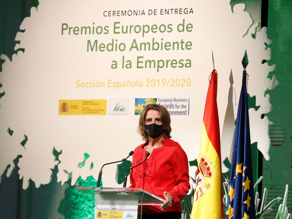 Foto: La Ministra para la Transición Ecológica, Teresa Ribera. (EFE)
