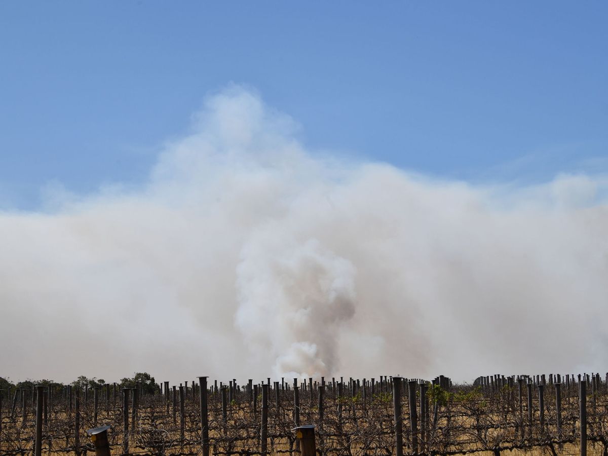 Foto: Humo proveniente de un incendio en Australia. Foto: EFE EPA DAVID MARIUZ