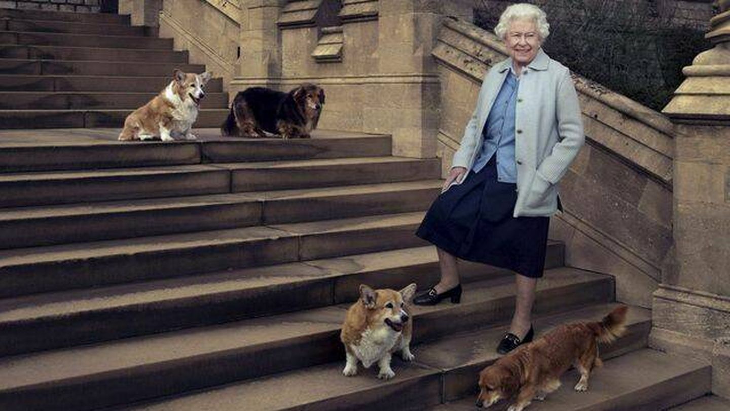 La reina, con algunos de sus corgis. (Buckingham Palace)