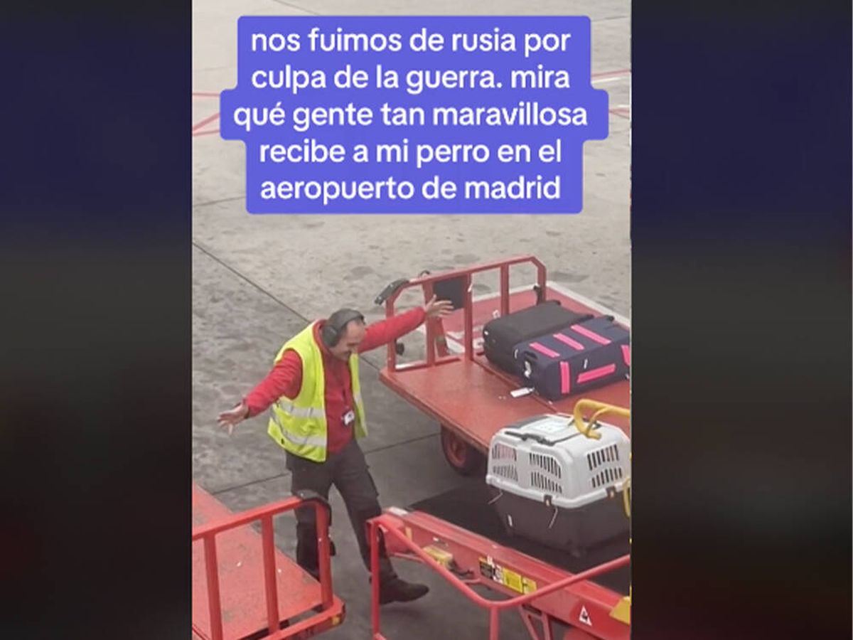 Foto: Aterriza en Madrid y ve cómo recibe el trabajador del aeropuerto a su perro: "Gente maravillosa" (TikTok: @airt_j)