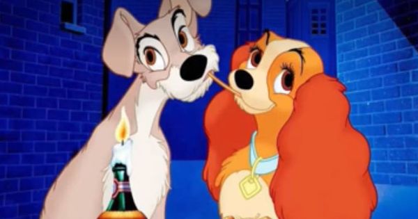 Disney elige a un perro rescatado como estrella de 'La dama y el vagabundo'